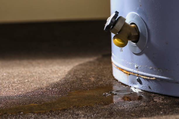 Best Professional water damage repair  in Leilani Estates, HI