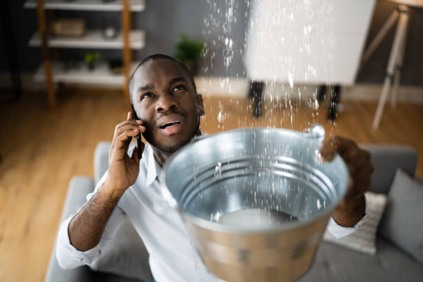Best 24/7 water damage repair  in Leilani Estates, HI