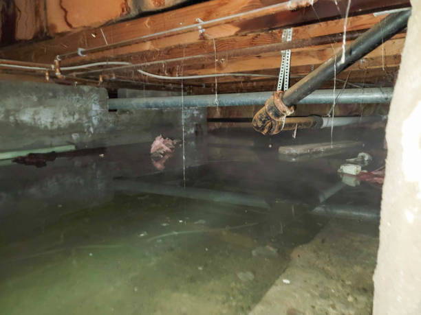 Best 24-hour water damage restoration  in Leilani Estates, HI