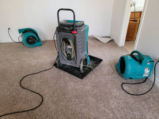 Trusted Leilani Estates, HI Water damage restoration Experts