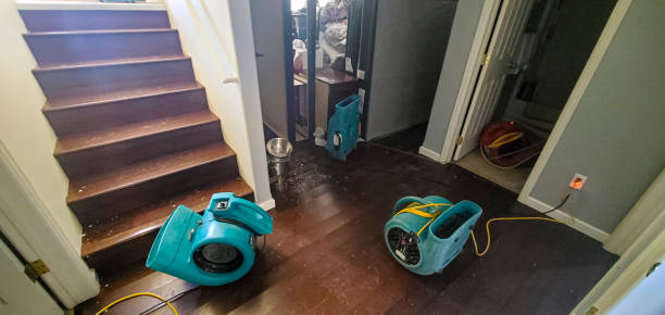 Best Commercial water damage restoration  in Leilani Estates, HI