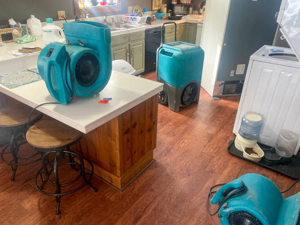 Best Sewage cleanup and water damage restoration  in Leilani Estates, HI