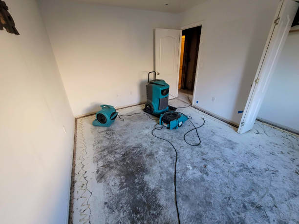 Reliable Leilani Estates, HI Water damage restoration Solutions