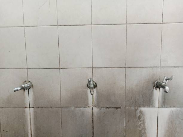 Water damage restoration process in Leilani Estates, HI