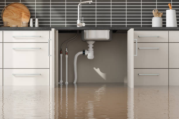Best Basement water damage restoration  in Leilani Estates, HI
