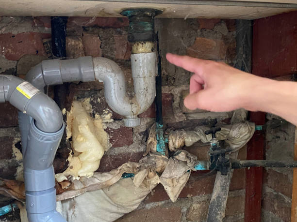 Best 24/7 water damage repair  in Leilani Estates, HI