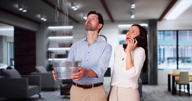 Best Basement water damage restoration  in Leilani Estates, HI