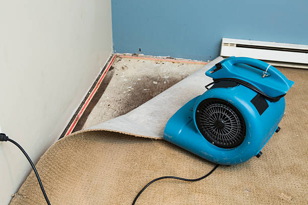 Best Fire Damage Restoration  in Leilani Estates, HI